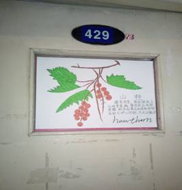 Cache_46c84a3d9197f908.